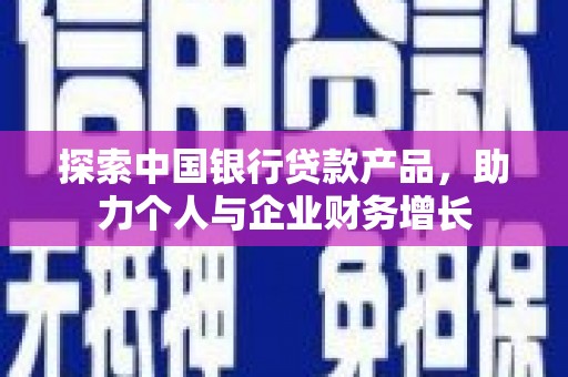 武川探索中国银行贷款产品，助力个人与企业财务增长
