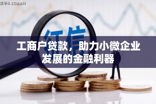 武川工商户贷款，助力小微企业发展的金融利器