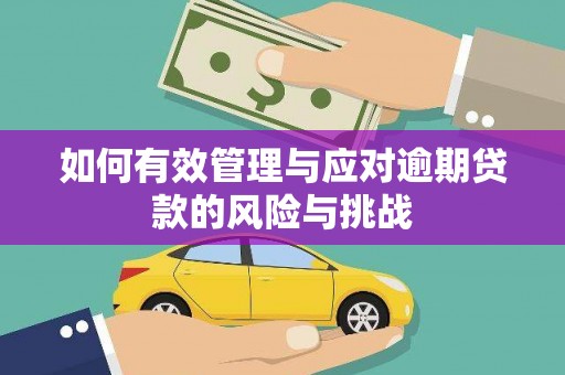 武川如何有效管理与应对逾期贷款的风险与挑战