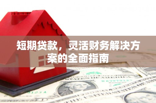 武川短期贷款，灵活财务解决方案的全面指南