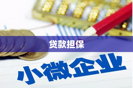 武川贷款担保