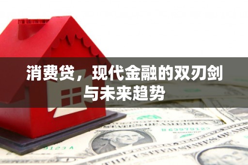 武川消费贷，现代金融的双刃剑与未来趋势