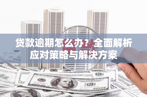 武川贷款逾期怎么办？全面解析应对策略与解决方案