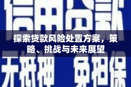 武川探索贷款风险处置方案，策略、挑战与未来展望