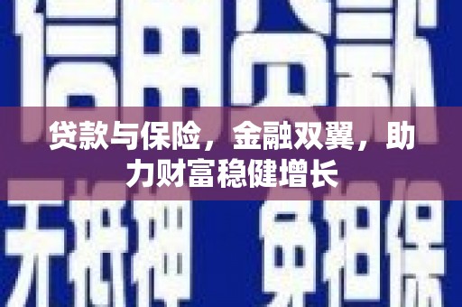 武川贷款与保险，金融双翼，助力财富稳健增长