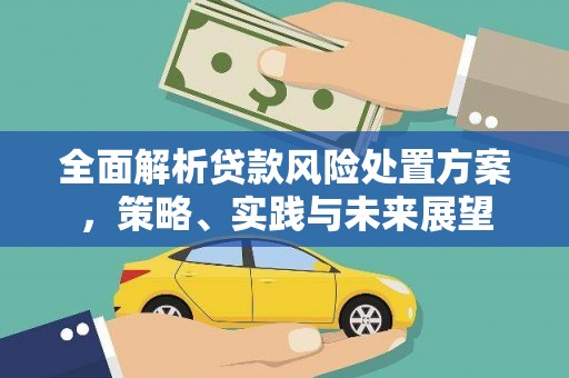 武川全面解析贷款风险处置方案，策略、实践与未来展望