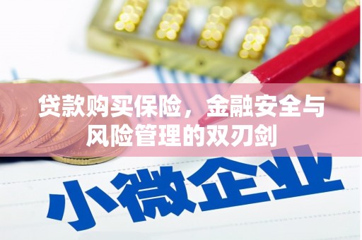 武川贷款购买保险，金融安全与风险管理的双刃剑