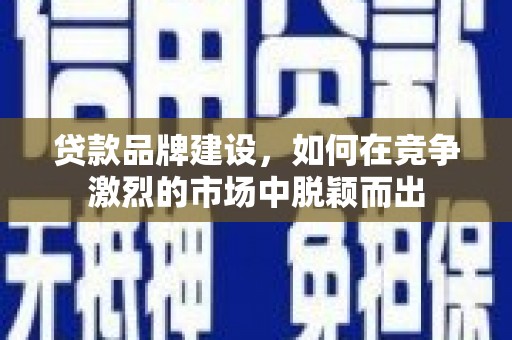 武川贷款品牌建设，如何在竞争激烈的市场中脱颖而出
