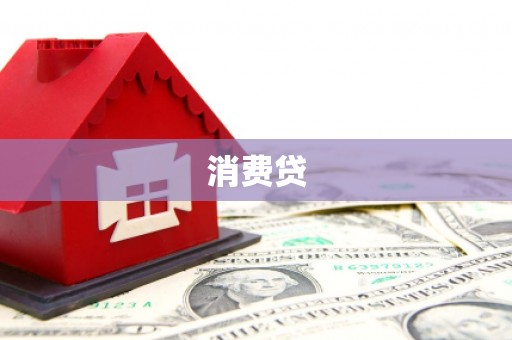 武川消费贷