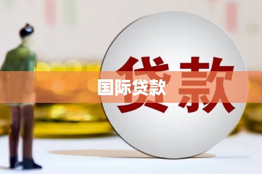 武川国际贷款
