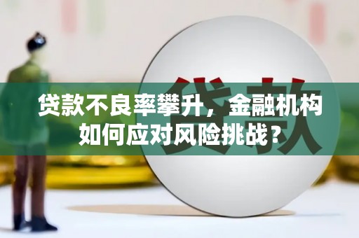 武川贷款不良率攀升，金融机构如何应对风险挑战？