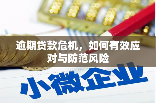 武川逾期贷款危机，如何有效应对与防范风险