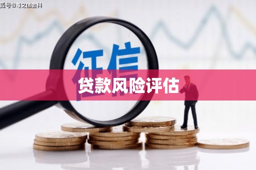 武川贷款风险评估