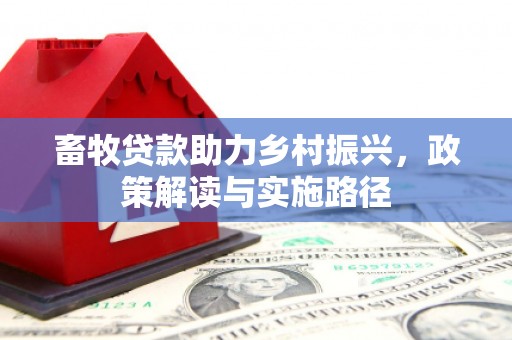 武川畜牧贷款助力乡村振兴，政策解读与实施路径