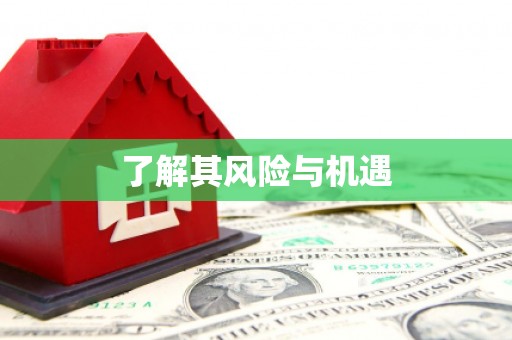 武川了解其风险与机遇