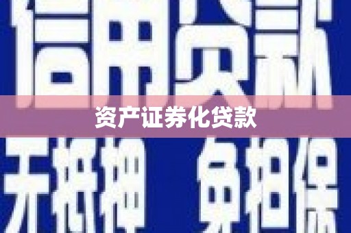 武川资产证券化贷款