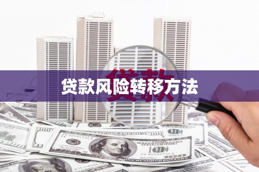武川贷款风险转移方法