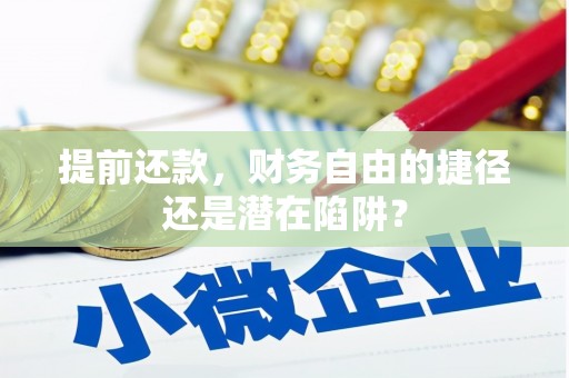 武川提前还款，财务自由的捷径还是潜在陷阱？