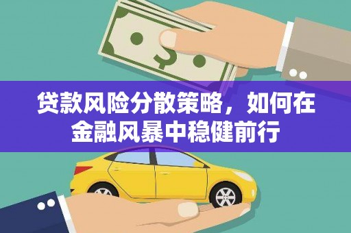 武川贷款风险分散策略，如何在金融风暴中稳健前行
