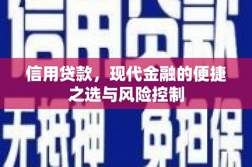 武川信用贷款，现代金融的便捷之选与风险控制