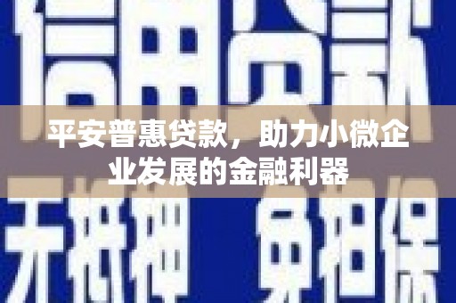 武川平安普惠贷款，助力小微企业发展的金融利器