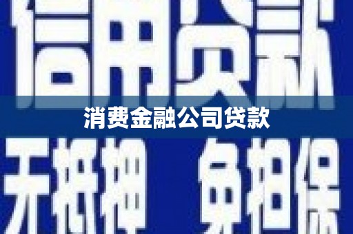 武川消费金融公司贷款