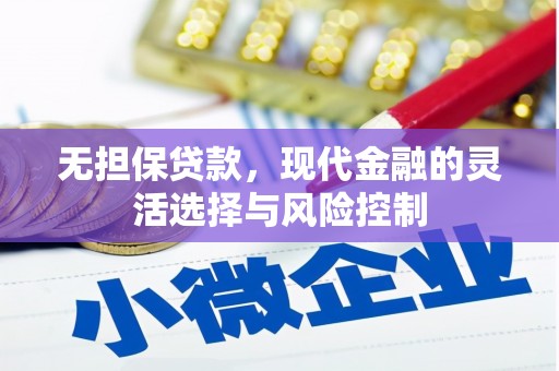 武川无担保贷款，现代金融的灵活选择与风险控制