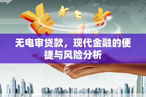 武川无电审贷款，现代金融的便捷与风险分析