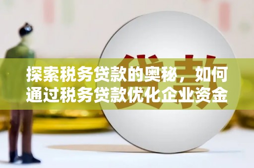 武川探索税务贷款的奥秘，如何通过税务贷款优化企业资金流