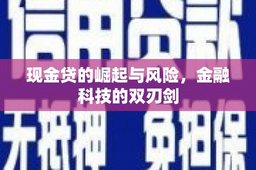 武川现金贷的崛起与风险，金融科技的双刃剑