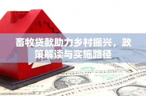 武川畜牧贷款助力乡村振兴，政策解读与实施路径