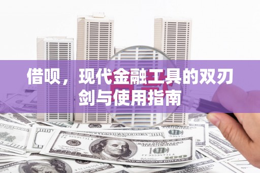 武川借呗，现代金融工具的双刃剑与使用指南