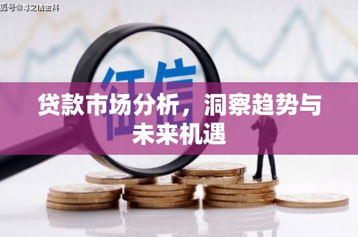 武川贷款市场分析，洞察趋势与未来机遇