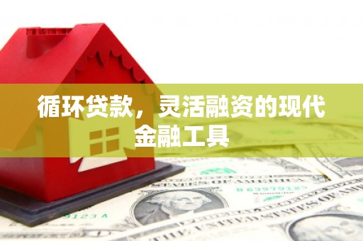 武川循环贷款，灵活融资的现代金融工具