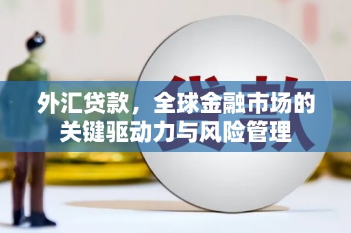 武川外汇贷款，全球金融市场的关键驱动力与风险管理