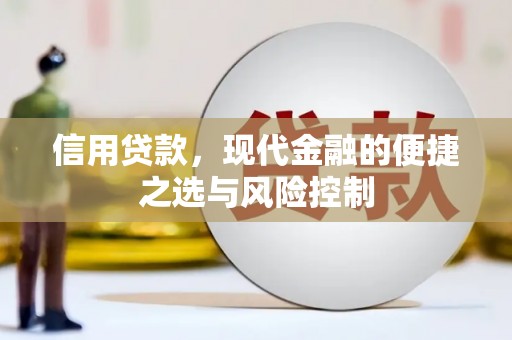 武川信用贷款，现代金融的便捷之选与风险控制