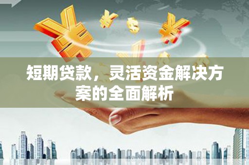 武川短期贷款，灵活资金解决方案的全面解析