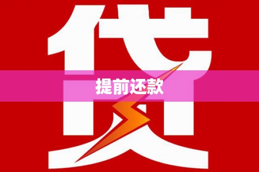武川提前还款