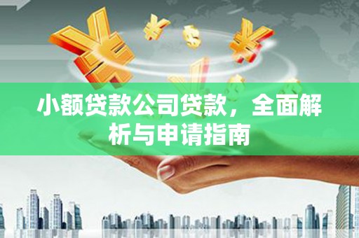 武川小额贷款公司贷款，全面解析与申请指南