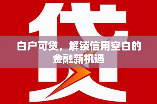 武川白户可贷，解锁信用空白的金融新机遇