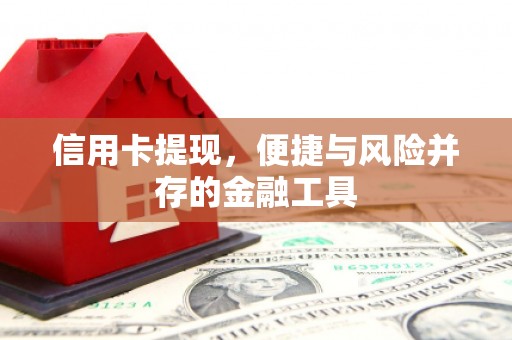 武川信用卡提现，便捷与风险并存的金融工具