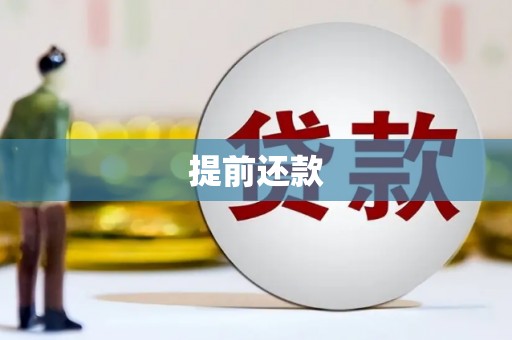 武川提前还款
