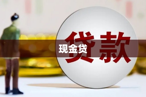 武川现金贷