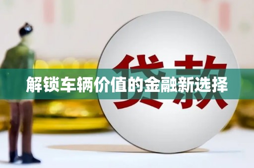 武川解锁车辆价值的金融新选择