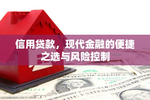 武川信用贷款，现代金融的便捷之选与风险控制