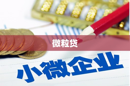 武川微粒贷