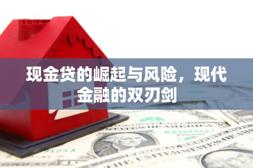 武川现金贷的崛起与风险，现代金融的双刃剑