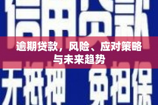武川逾期贷款，风险、应对策略与未来趋势