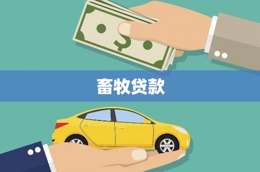 武川畜牧贷款