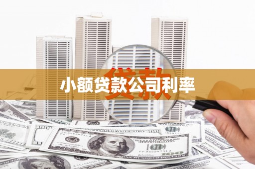武川小额贷款公司利率
